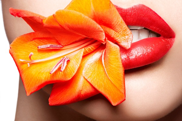 Made Up Book / Beauty / Flowers / Ayami / Made Up Book / Editori