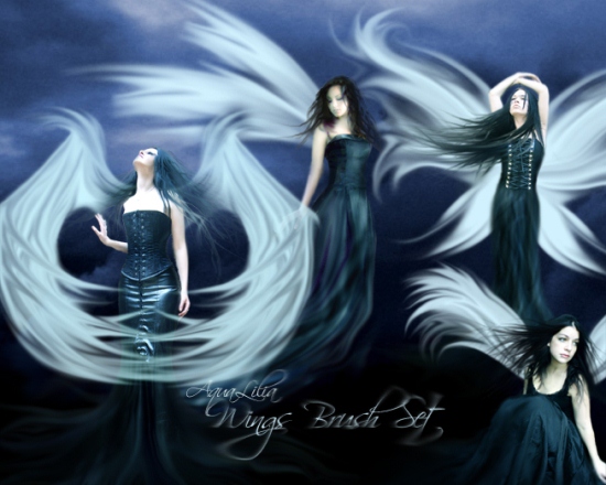 AquaLilia_Wings_Brushes AquaLilia_Wings_Brushes