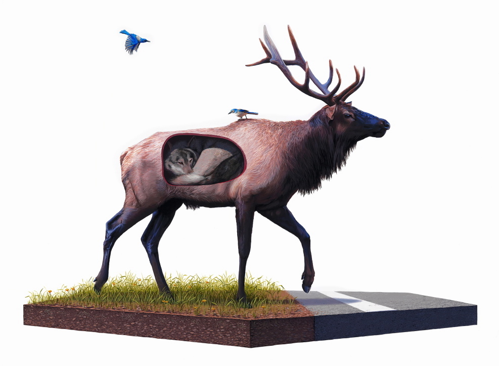josh-keys-illustrations16