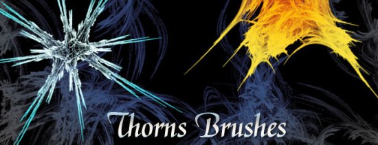 thorns-photoshop-brushes thorns-photoshop-brushes