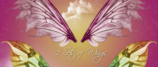 Fairywings Fairywings