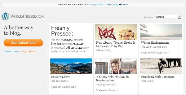 Wordpress Wordpress