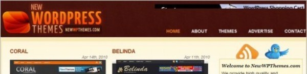 newwpthemes newwpthemes