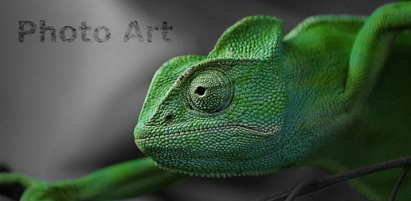 photo-art