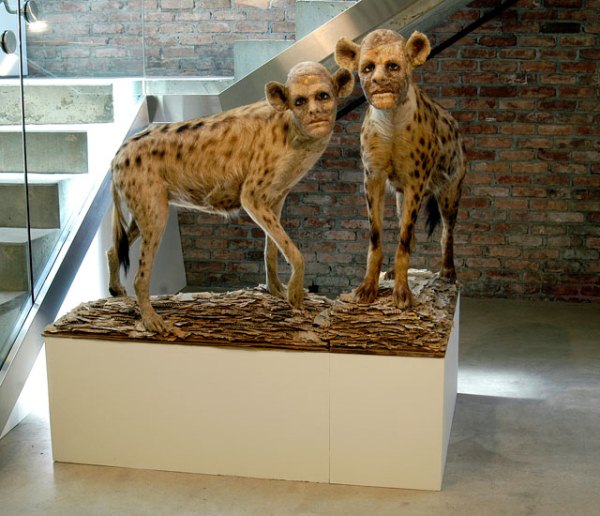 Sculpture Art by Kate Clark (1)
