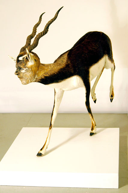 Sculpture Art by Kate Clark (4)