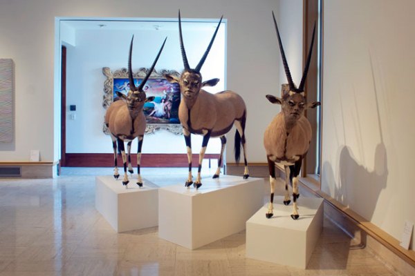 Sculpture Art by Kate Clark (6)
