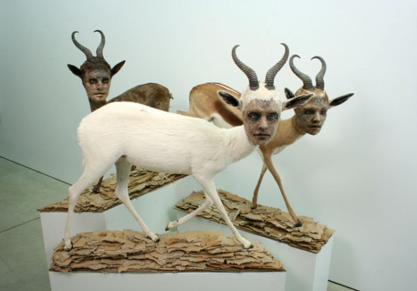 Sculpture Art by Kate Clark (7)