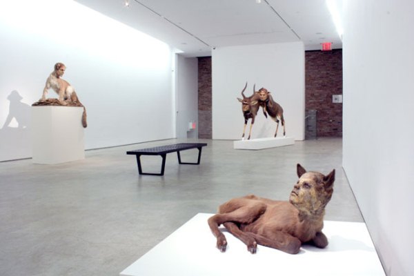 Sculpture Art by Kate Clark (9)