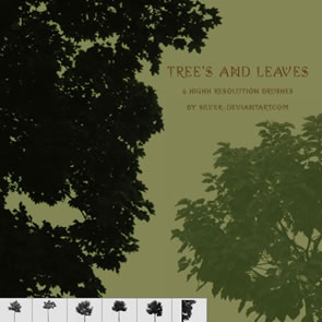 Tree's & Leaves Tree's & Leaves