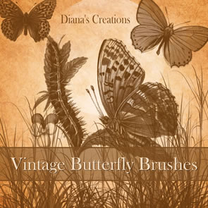 Vintage Butterflies Vintage Butterflies