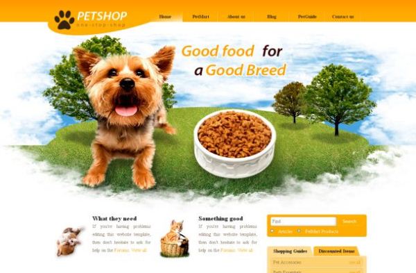 Yellow Orange Pets Shop Yellow Orange Pets Shop