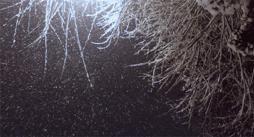 Snow Snow