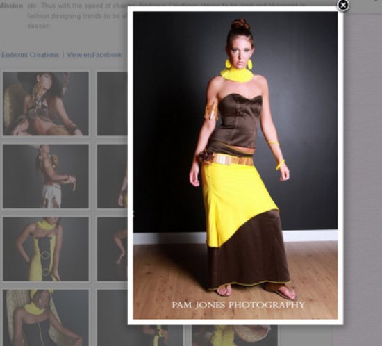 Facebook Page Photo Gallery