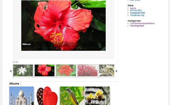 WordPress Photo Gallery