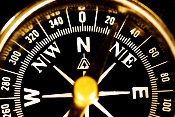 Free Website Builder Software