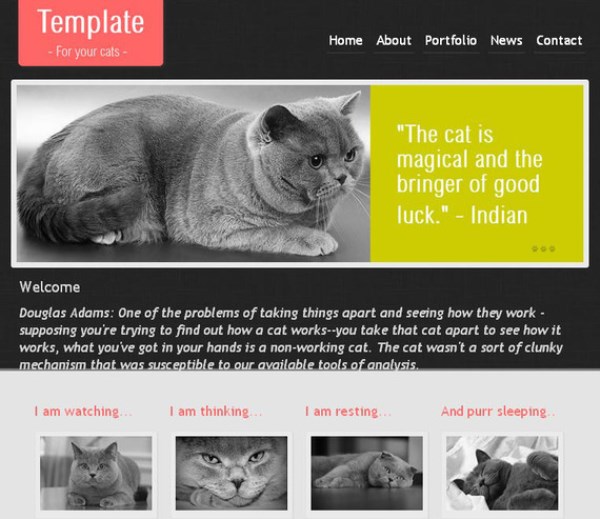 CatTemplate
