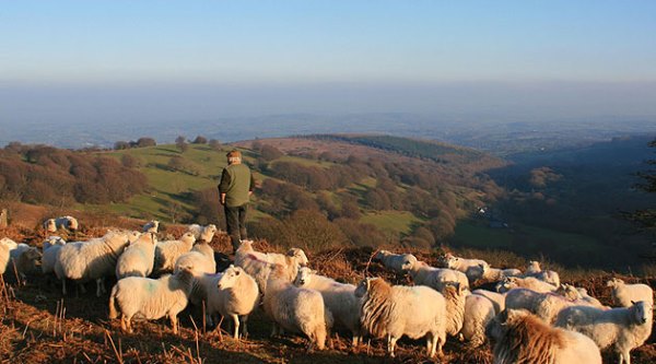 How Rural Businesses Can Get Found