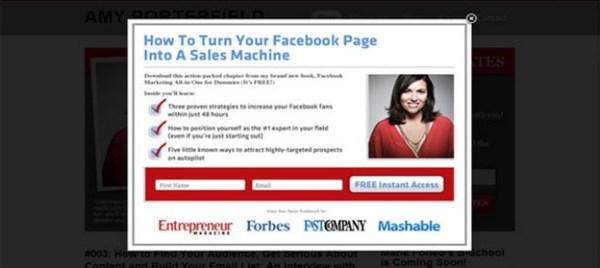 Amy Porterfield