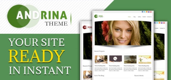 Andrina WordPress Theme