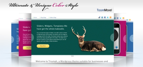 ToomMorel WordPress Theme